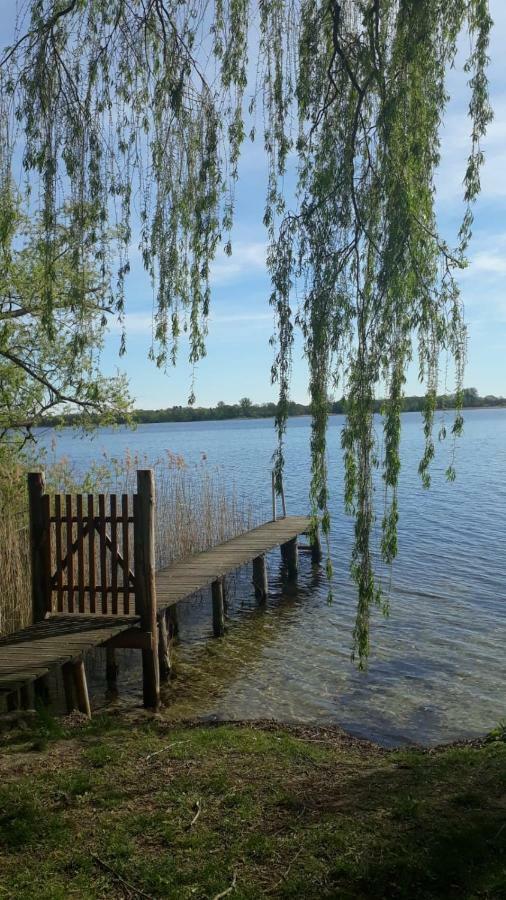 Appartements Am Schaalsee Zarrentin am Schaalsee Eksteriør billede