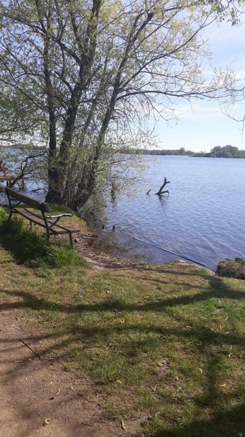 Appartements Am Schaalsee Zarrentin am Schaalsee Eksteriør billede